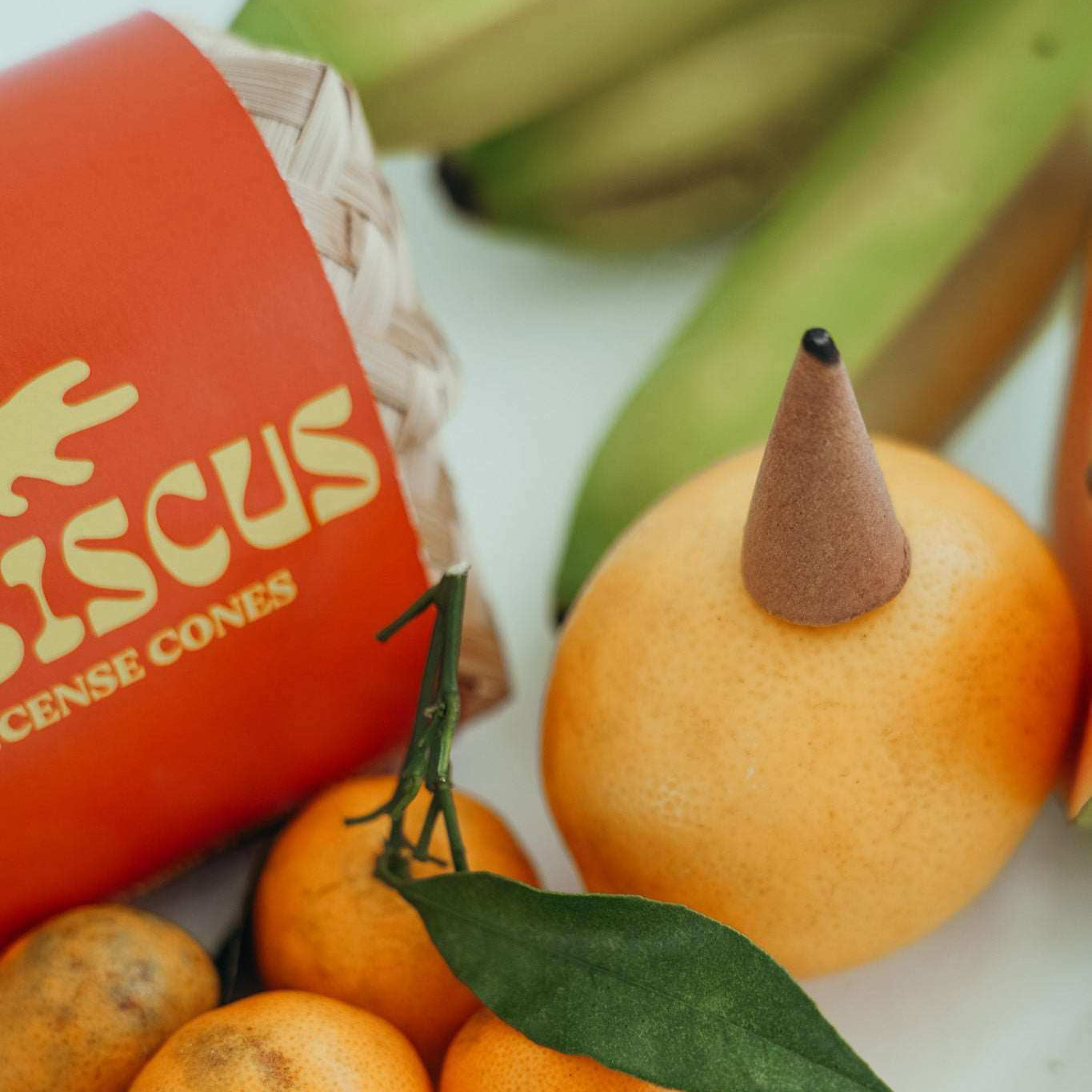 Black Salt Co - HIBISCUS INCENSE CONES