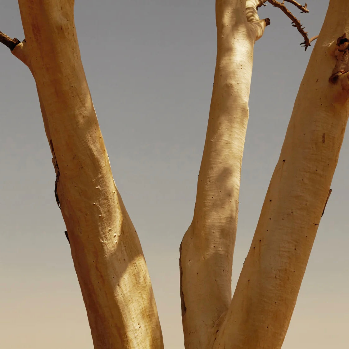 Mihan Aromatics - Air Freshener, Petrichor Plains