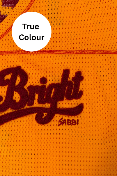 SABBI - Shine Bright Mesh Shirt