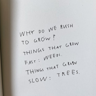 Diary of a Freelancer