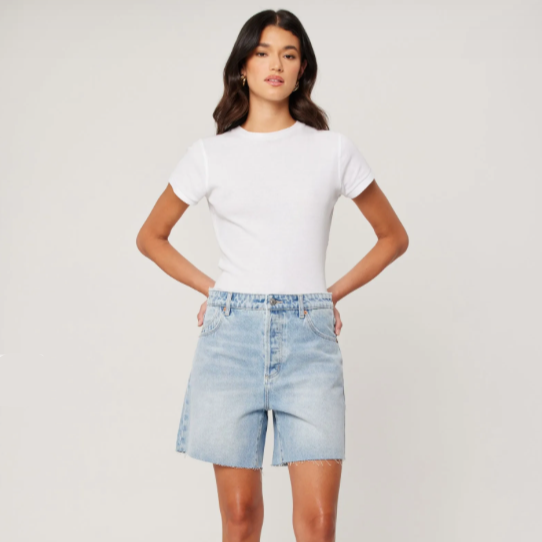 ROLLA'S - New 90s Relaxed Short - Longbeach 2.0