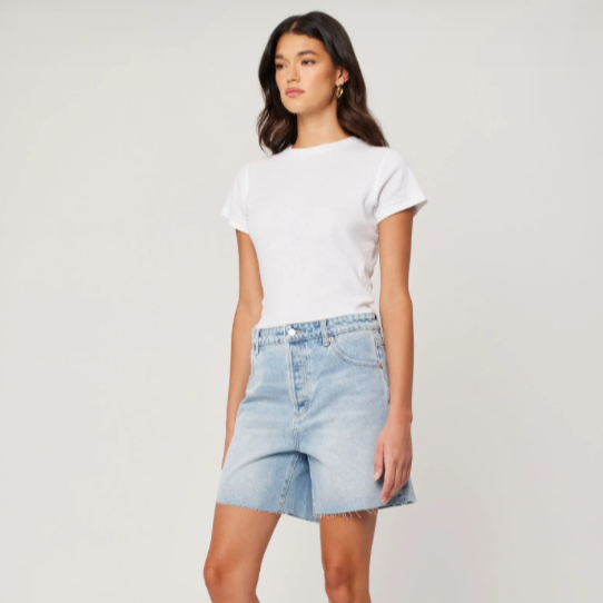 ROLLA'S - New 90s Relaxed Short - Longbeach 2.0