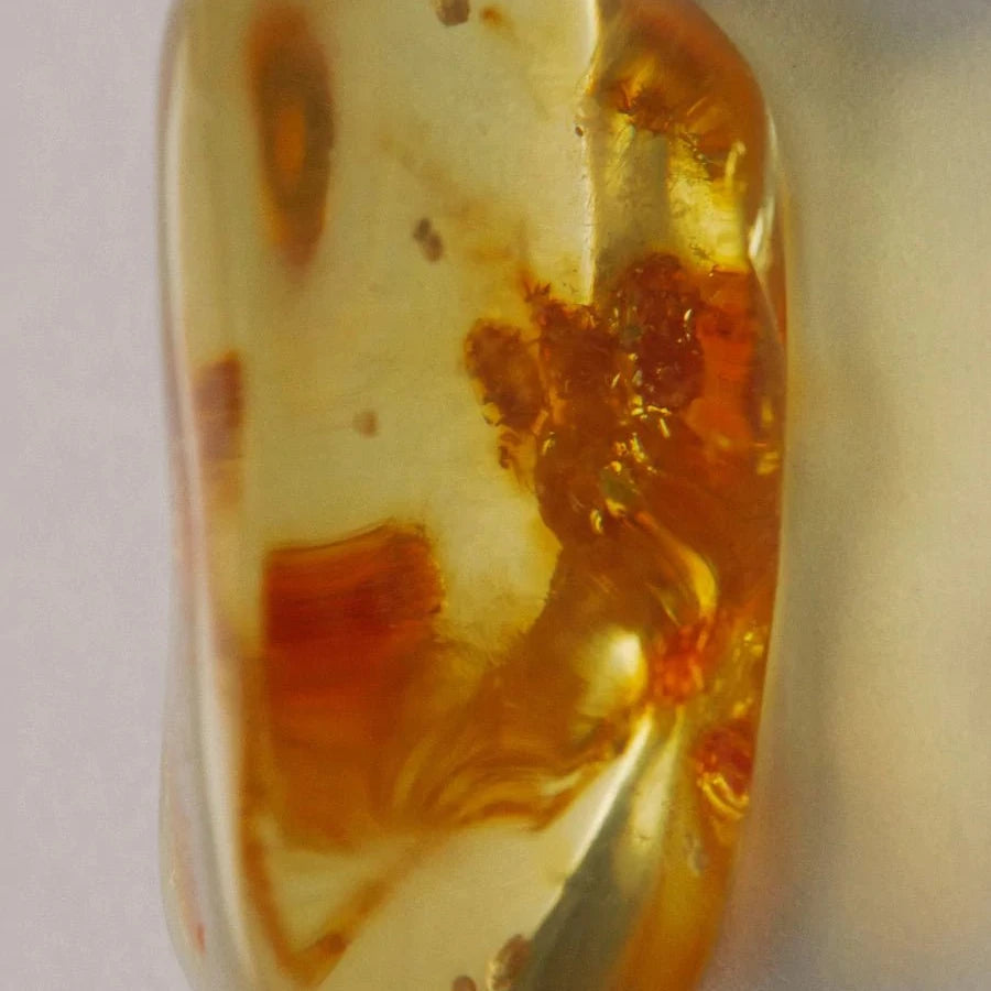 The Ayu - ODE Scented Oil - The Sensory
