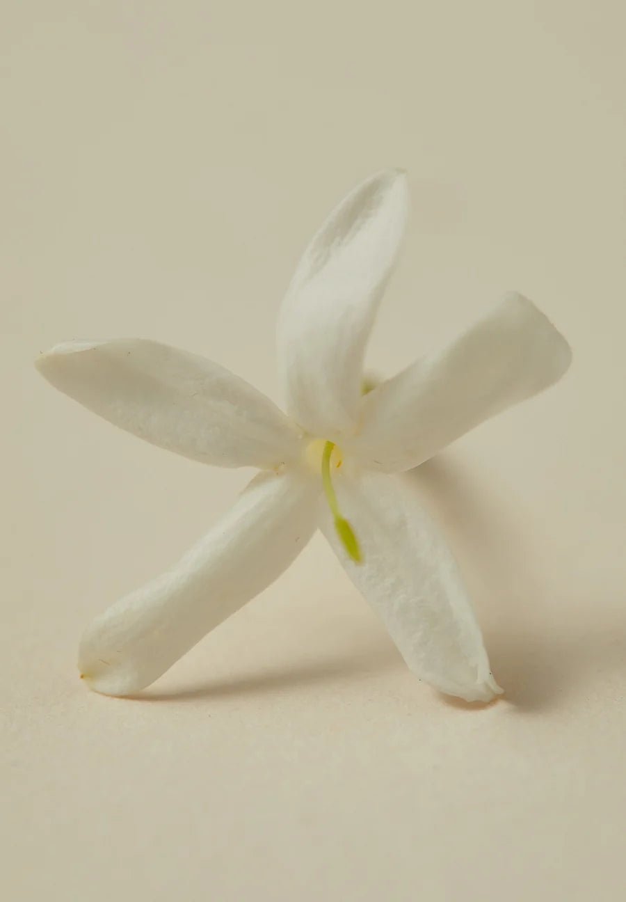 The Ayu - RUMI Scented Oil - The Sensory