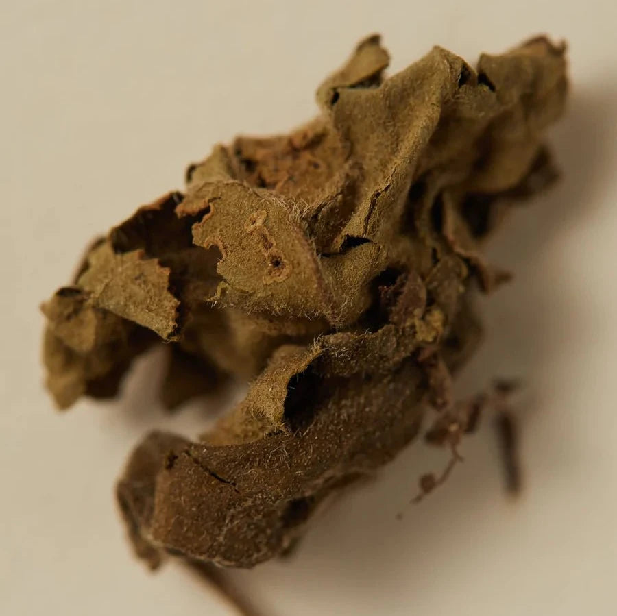 The Ayu - SMOKING ROSE Scented Oil - The Sensory