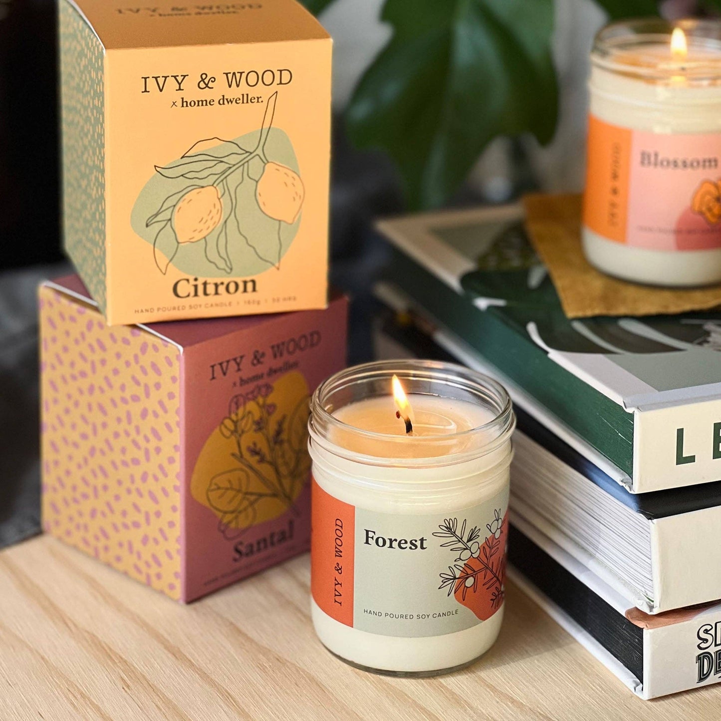 Ivy & Wood - Homebody: Santal Soy Candle