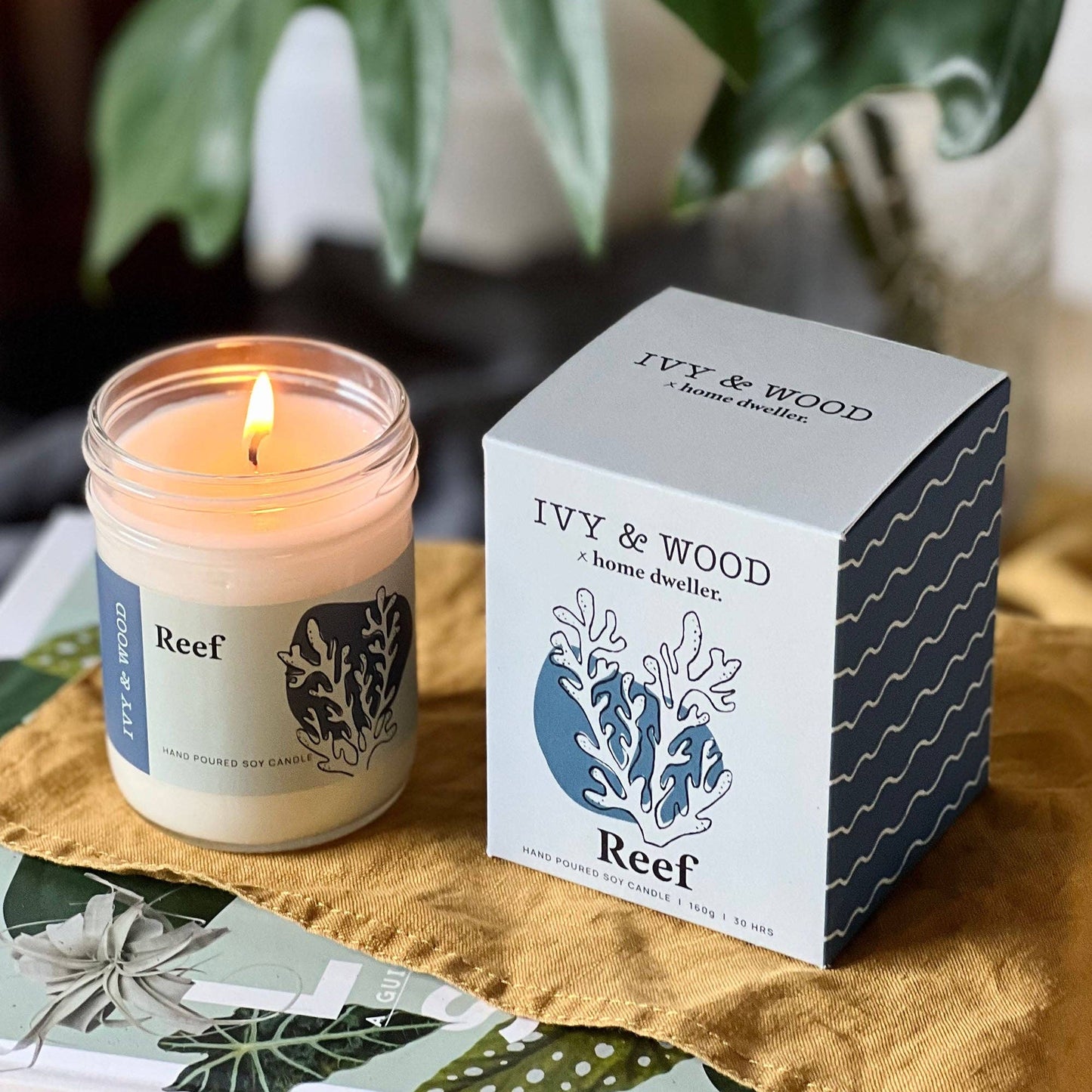 Ivy & Wood - Homebody: Reef Soy Candle