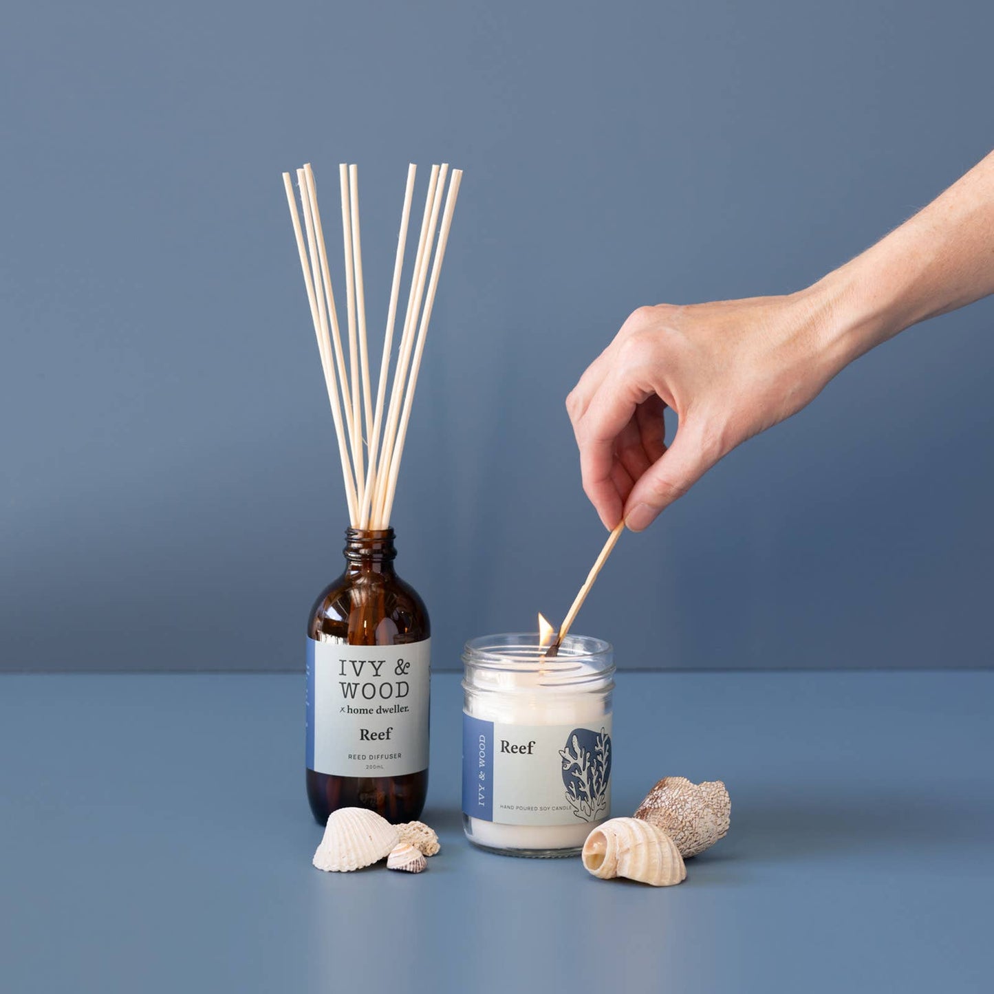 Ivy & Wood - Homebody: Reef Reed Diffuser