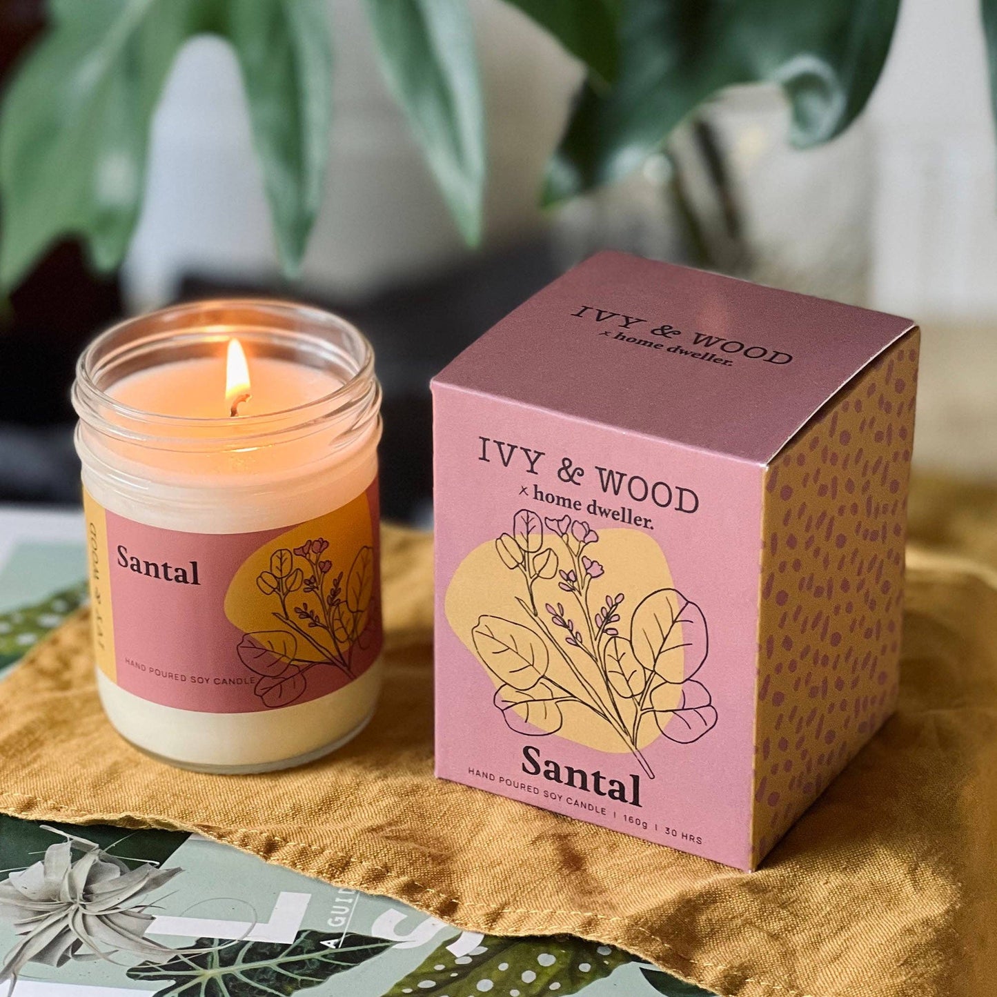 Ivy & Wood - Homebody: Santal Soy Candle