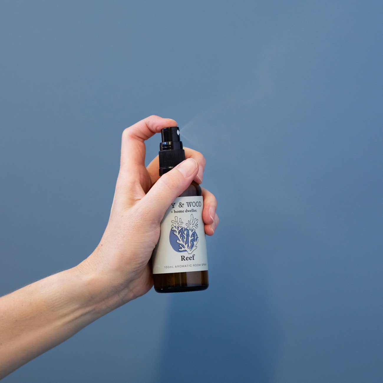 Ivy & Wood - Homebody: Reef Room Spray